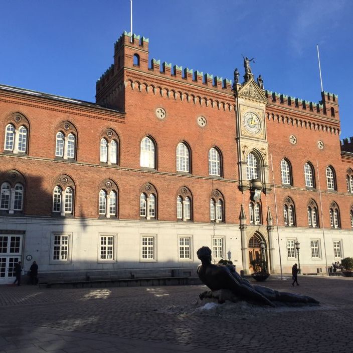 Odense Rådhus, Flakhaven