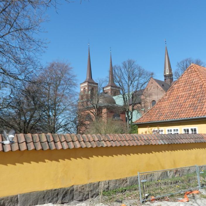 Roskilde Domkirke og Museet for Samtidskunst - ord, billed, lyd
