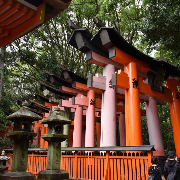 Fushimi Inari helligdommen. Senbontorii er Torii porte som er doneret gennem tiden af firmaer og organisationer.