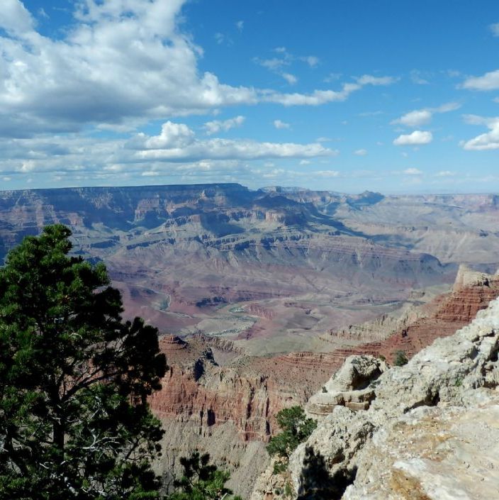 Arizona. Grand Canyon National Park. View til Colorado floden