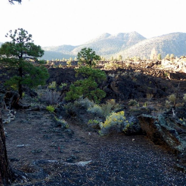Arizona. Sunset Crater Volcano National Monument. Vulkanen havde sit første udbrud i 1064, og det sidste større udbrud forekom i 1100.