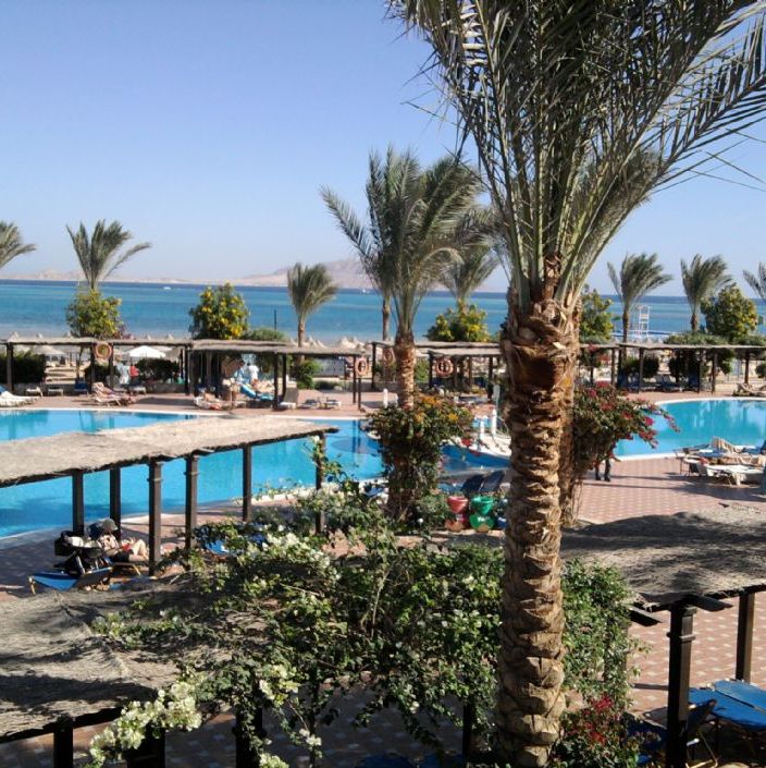 Egypt - Sharm el Sheik.
Jaz Belvedere Resort ved Montazah Beach.