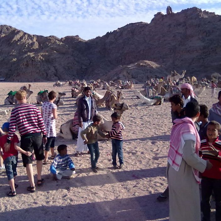 Egypt - Sharm el Sheik.
Ørkenfolk kameler og turister som skal på tur.