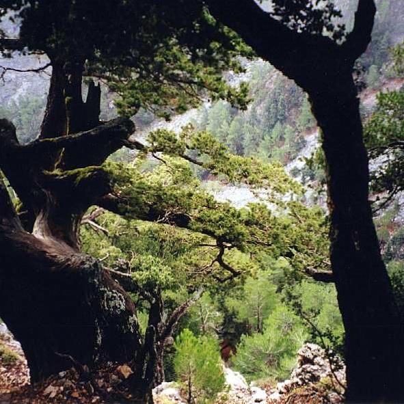 Kreta, Samaria kløften