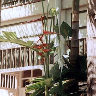 Cairns