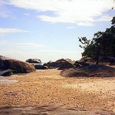 Cairns.
Fitzroy Island, GBReef