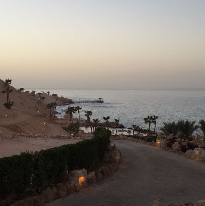 Hurghada Egypt.
This is the view from the back of building 5, where we stayed.