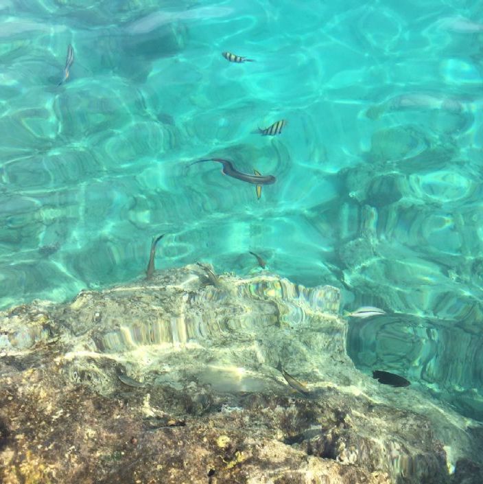 Hurghada Egypt.
The clear sea pool where we could snorkle and see beautiful coral fish.
