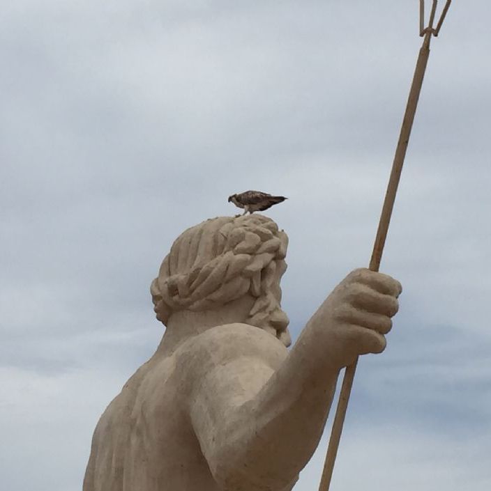 Hurghada Egypt.
A big sculpture of Poseidon with a bird of prey at its head.
