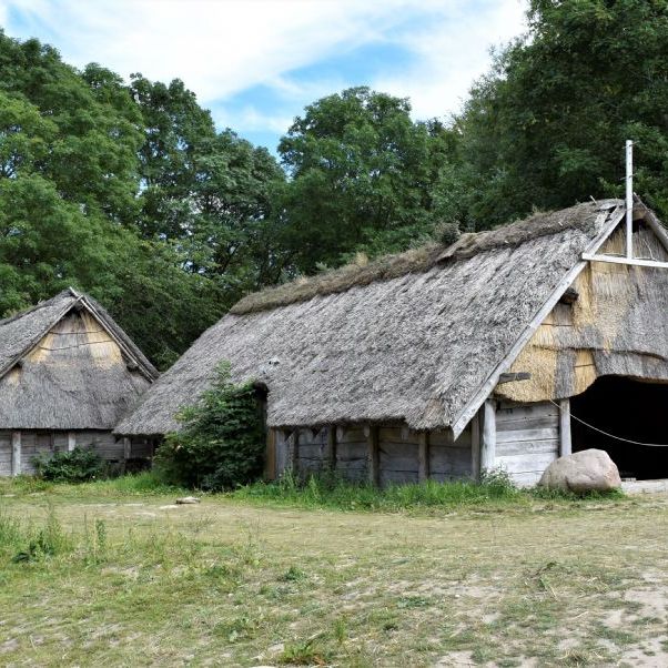 Sagnlandet Lejre.
Korn og dyreholds huse bag Kongehallen.