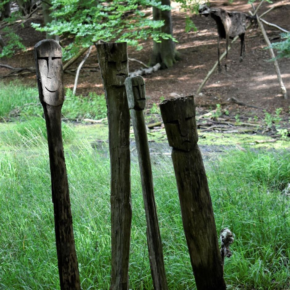 Sagnlandet Lejre.
Offermosen.
Sacrificial Bog.
In the back a horsehide hanging over a tree.