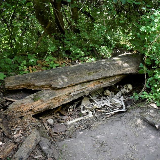 Sagnlandet Lejre.
Stenalder bopladsen Athra - Ertebøllehytter.
Mesolithic Stone Age settlement.