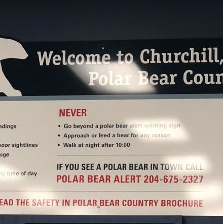 Welcome to Churchill, The Polar Bear Capital.