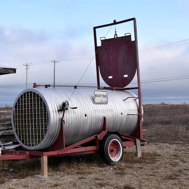 A Polar Bear trap. When the Polar Bears enter the town and wont leave, they need to be trapped so they can be removed to a safer place on the Tundra.